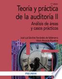 Teoría y práctica de la auditoría II