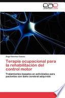 Terapia Ocupacional para la Rehabilitación Del Control Motor