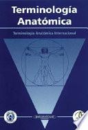 Terminología anatómica