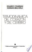 Termodinamica del corazon y del cerebro