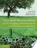 Terrestrial Photosynthesis in a Changing Environment