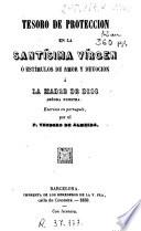 Tesoro de protección en la Santísima Vírgen, ó, Estímulos de amor y devocion á la Madre de Dios señora nuestra