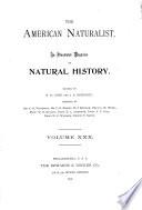 The American Naturalist
