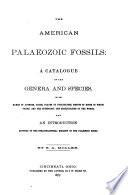 The American Palaeozoic Fossils