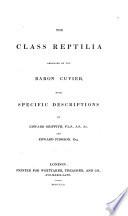 The Animal Kingdom: The class Reptilia