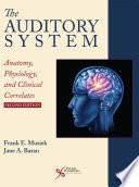The Auditory System