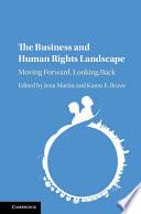 The Business and Human Rights Landscape