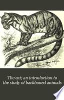 The Cat