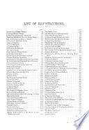 The Flowery Kingdom and the Land of the Mikado Or China, Japan and Corea