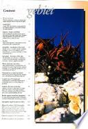 The Harsh & Forbidden Sperrgebeit Rediscovered