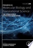 The Hidden World of Protein Aggregation