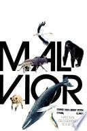 The Marvels of Animal Behavior