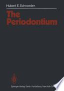 The Periodontium