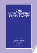 The Phototrophic Prokaryotes