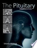 The Pituitary