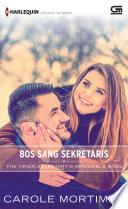 The Virgin Secretary'S Impossible Boss - Bos Sang Sekretaris