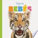 Tigres Bebés
