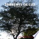 TORRENTE DE LUZ