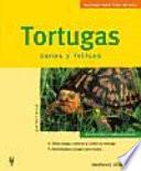 Tortugas