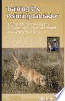 Training the Pointing Labrador