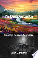 Tranquilo, ya despertaste en el paraíso