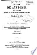 Tratado de anatomia descriptiva