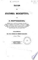 Tratado de anatomía descriptiva