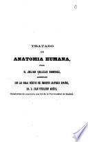 Tratado de anatomia humana