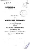 Tratado de anatomía humana
