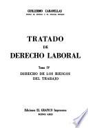 Tratado de derecho laboral: Derecho de los riesgos del trabajo