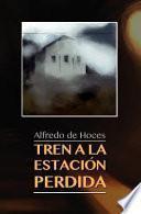 Tren a la estacion perdida
