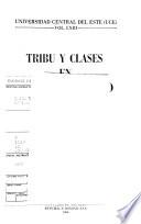 Tribu y clases en el Caribe antiguo