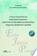 Tutela colectiva de derechos humanos y objetivos de desarrollo sostenible: integración, Jurisdicción e igualdad