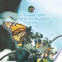 Un bosque para la mariposa monarca