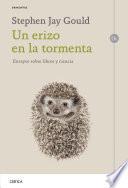 Un erizo en la tormenta