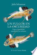 Un fulgor en la oscuridad