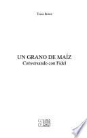 Un grano de maíz