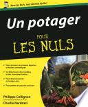 Un potager pour les nuls