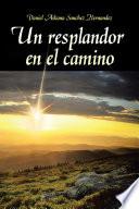 Un resplandor en el camino