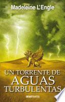 Un torrente de aguas turbulentas