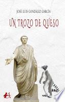 Un trozo de queso