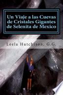 Un Viaje a Las Cuevas de Cristales Gigantes de Selenita de Mexico