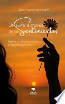 Un viaje a través de los sentimientos