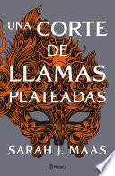 Una corte de llamas plateadas