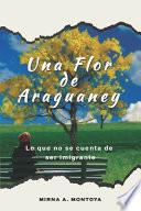 Una Flor de Araguaney
