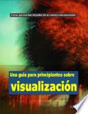 Una guía para principiantes sobre visualización