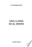Una llama en el viento