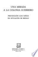 Una mirada a la colonia Guerrero