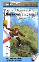 Una mona en casa