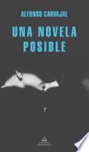 Una novela posible